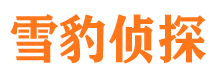 来安婚外情调查取证